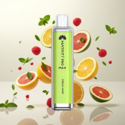 Hayati Pro Max 4000 Puffs Engangs Vape Friskt Mynte – 1400mAh, 2ml/10ml, 1.1 Ohm Mesh Coil