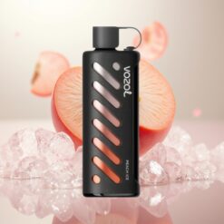 VOZOL Gear Shisha 25000 Puffs - 30 Smaker, Dual Mesh, 1000mAh, Fersken Is