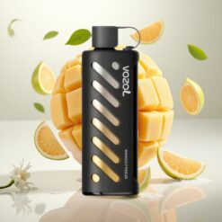 VOZOL Gear Shisha 25000 Puffs - 30 deilige smaker, Dual Mesh Dual Modes, 1000mAh batteri - Mango Frost
