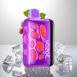 VOZOL RAVE 40000 Engangsvape med Grape Ice – 1000mAh batteri, 20/50mg/ml nikotin, 80% ladet på 20 min