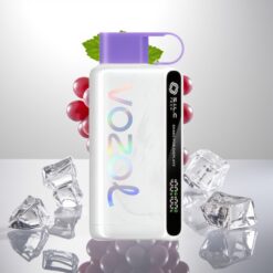 VOZOL STAR 9000/12000 Engangs Vape - Drupe Is, 650mAh Batteri, 9000/12000 Pust, Raskladning