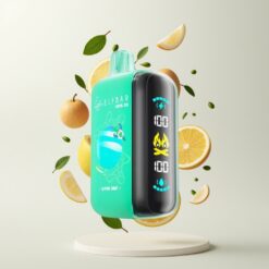 ELF BAR RAYA D3 25000 Puffs Disposable Vape Alpinmynte – 850mAh, 23ml, 5% nikotin