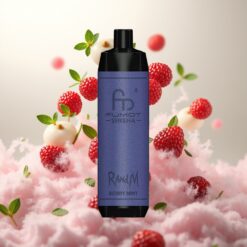 RandM Fumot Shisha 10000 Puffs Engangs Vape - Bær Mynte, 18ml, Type-C, 0.5% Nikotin