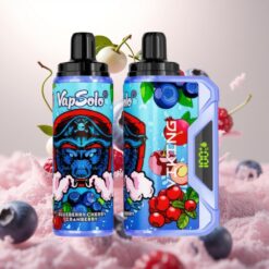 VapSolo VIKING 12000 Puffs Engangs Vape Blåbær Kirsebær Tranebær – 22ml, 20/50 mg/ml, Type-C, LED-skjerm